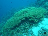 Curacao 04-12 181